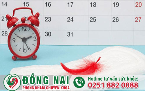 Trễ Kinh Bao Nhiêu Ngày Thì Có Thai