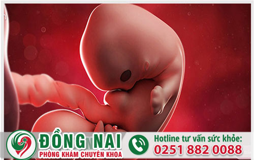 Bỏ thai 2 tháng có được không?