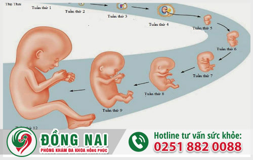 Tuổi thai càng nhỏ thì chi phí càng ít tốn kém hơn