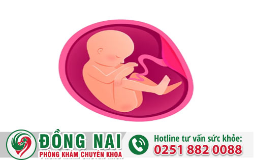 Giải đáp thắc mắc thai 5 tháng có kiểm tra được không?